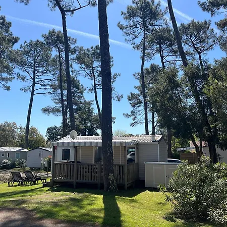 Campsite Prix Degressif - 4-6 Personnes Aux Dunes De Contis (adults Only) Saint-Julien-en-Born