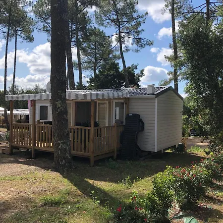 Campsite Prix Degressif - 4-6 Personnes Aux Dunes De Contis (adults Only) Saint-Julien-en-Born